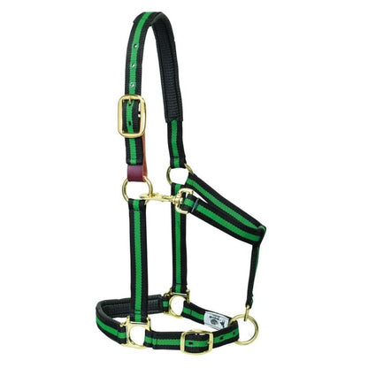 Weaver Striped Padded Breakaway Halter