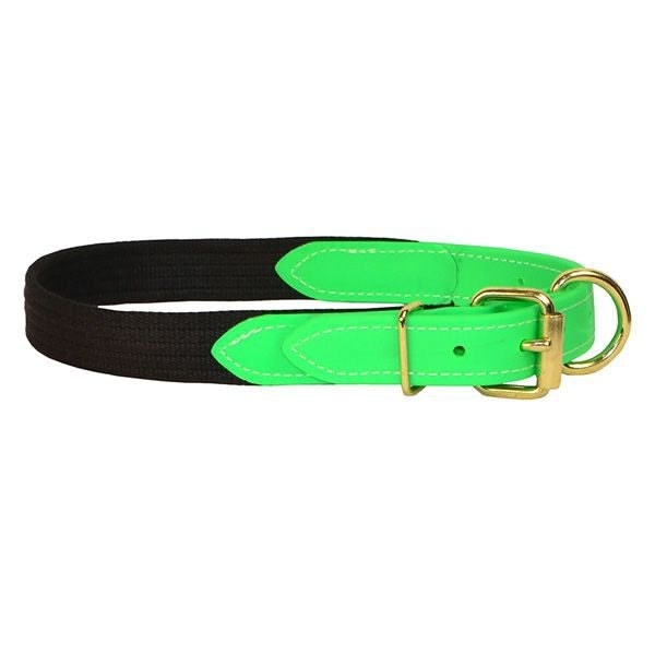 Perris Beta/Cotton Dog Collar LG Black Lime