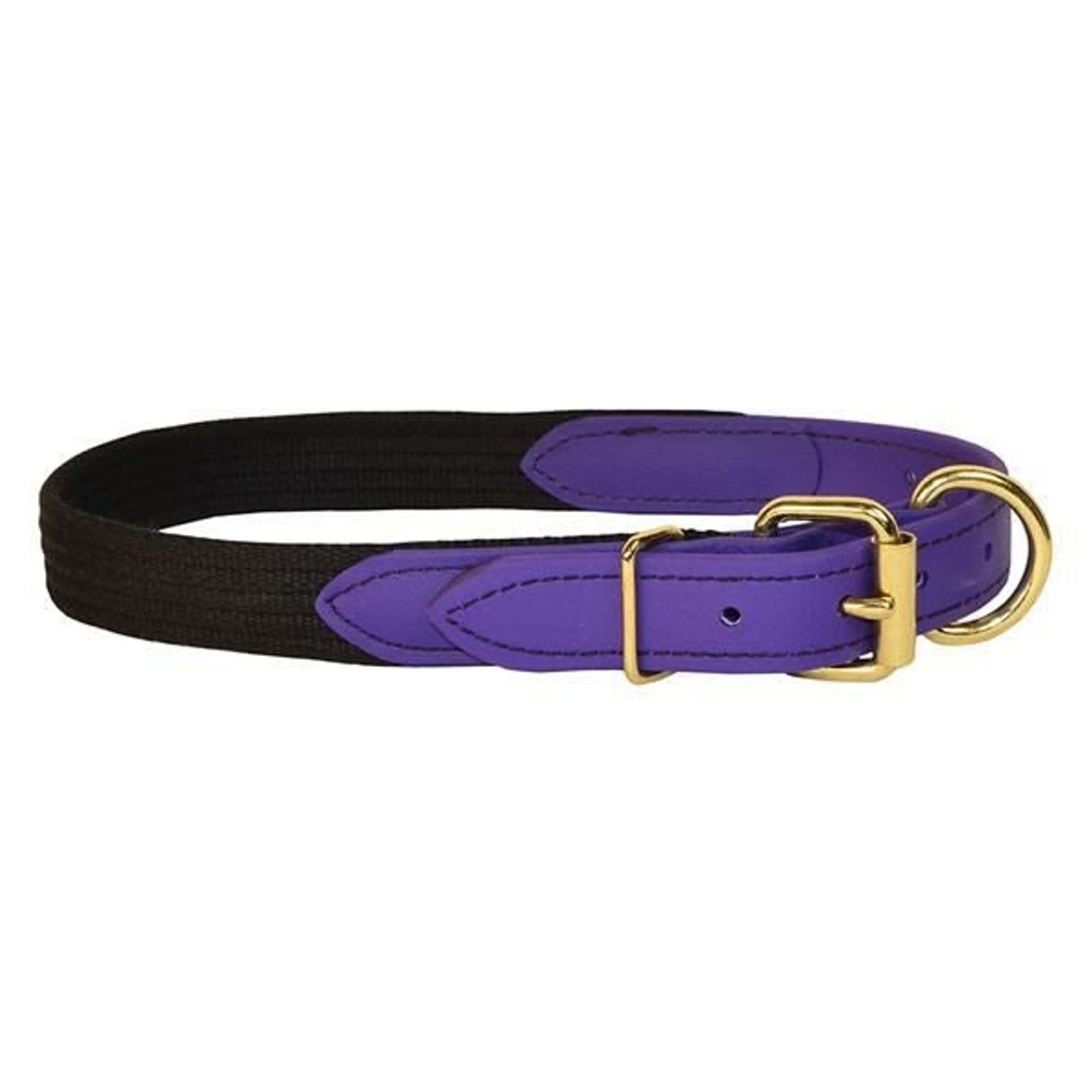 Perris Beta/Cotton Dog Collar LG Black Lime