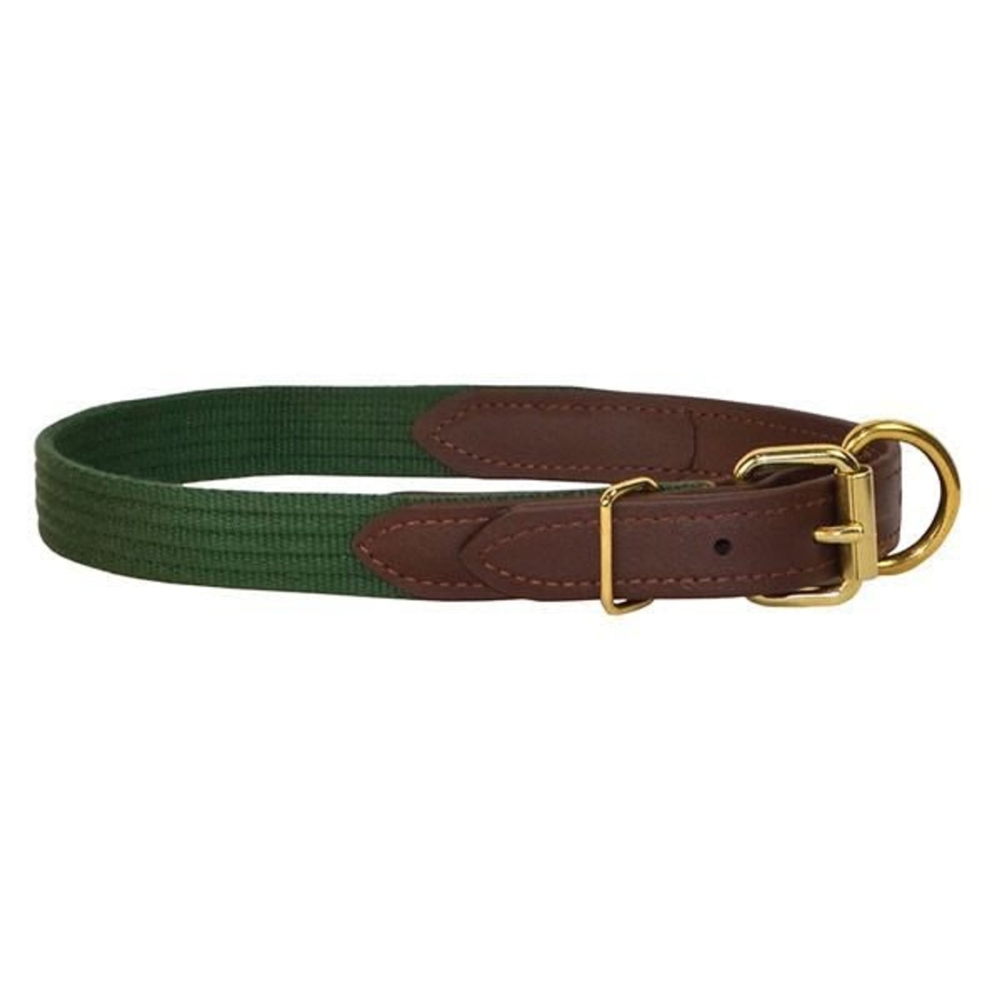 Perris Beta/Cotton Dog Collar LG Black Lime