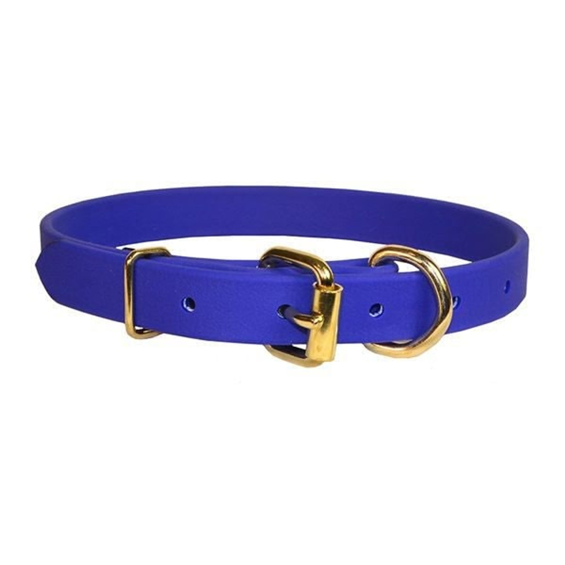 Perris Beta Dog Collar LG Blu