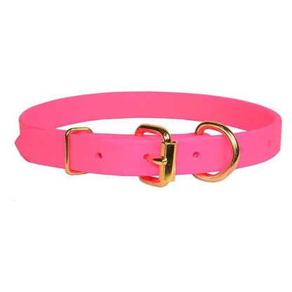 Perris Beta Dog Collar LG Blu