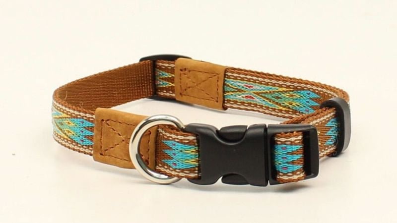 Dbl Barrel 3/4 Woven Ribbon Dog Collar 13-20 BrTur