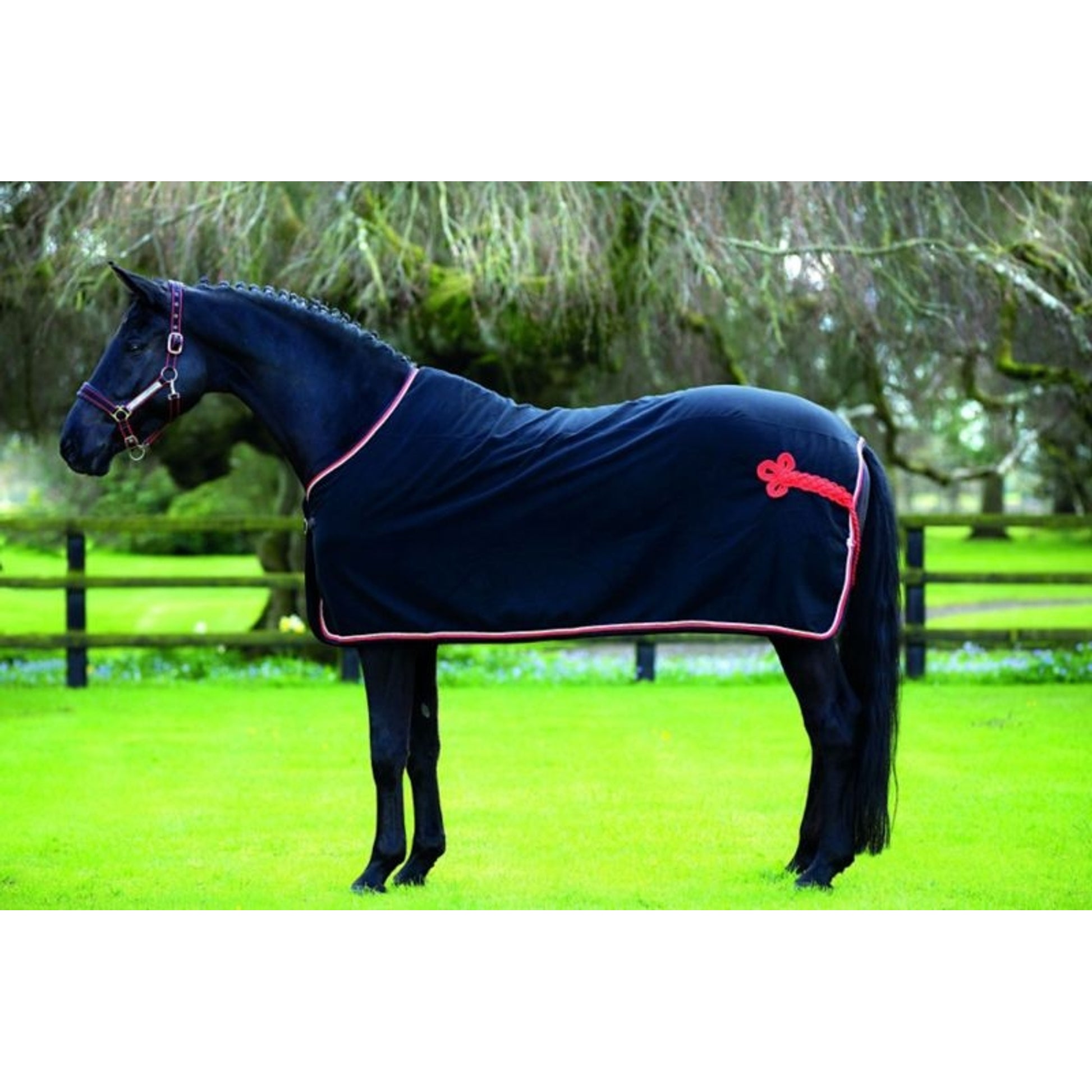 Rambo Show Blanket