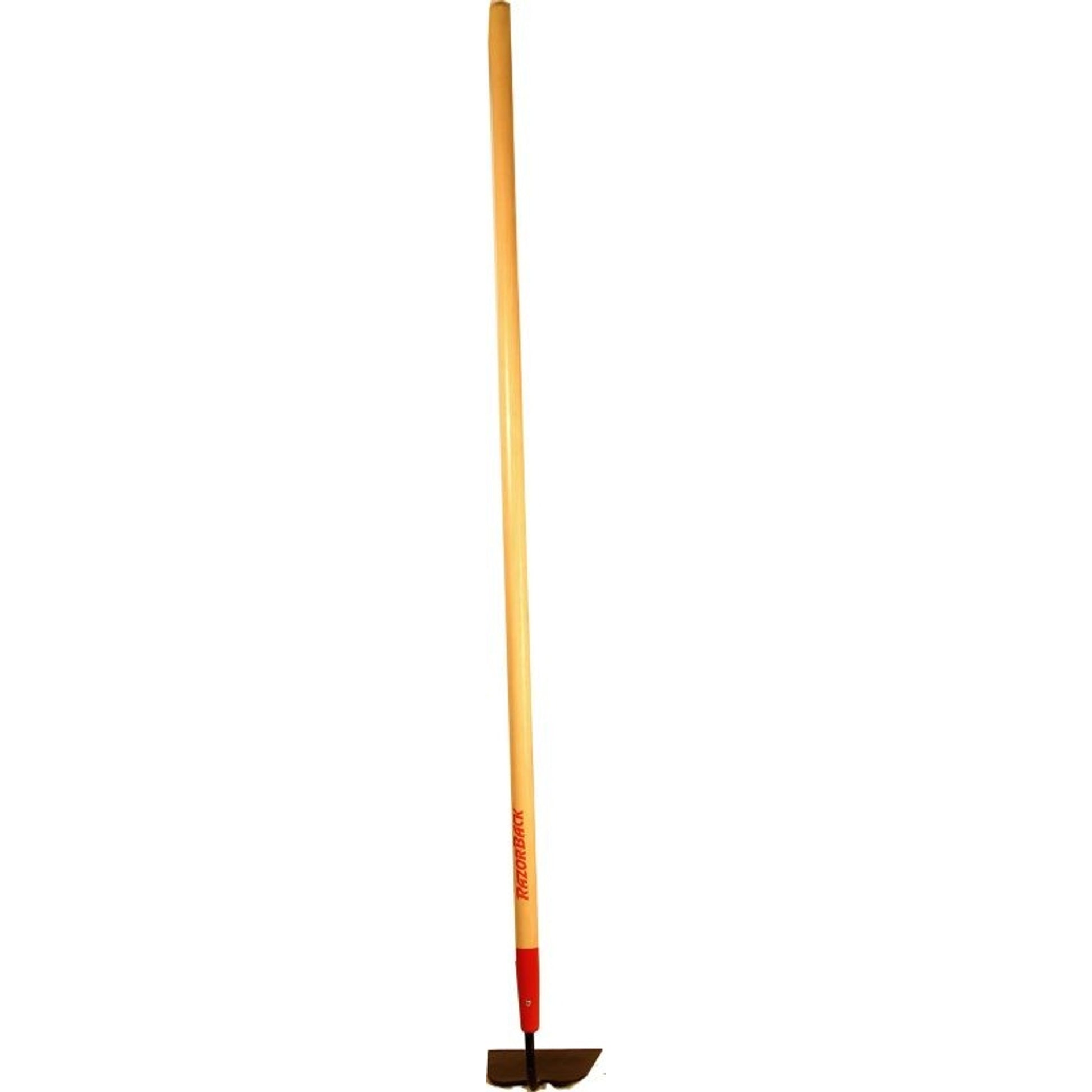 TH1413832.jpg
