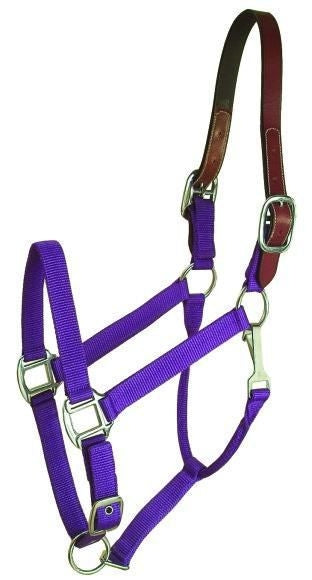 Gatsby Nylon Breakaway Halter with Snap 12Pc Horse