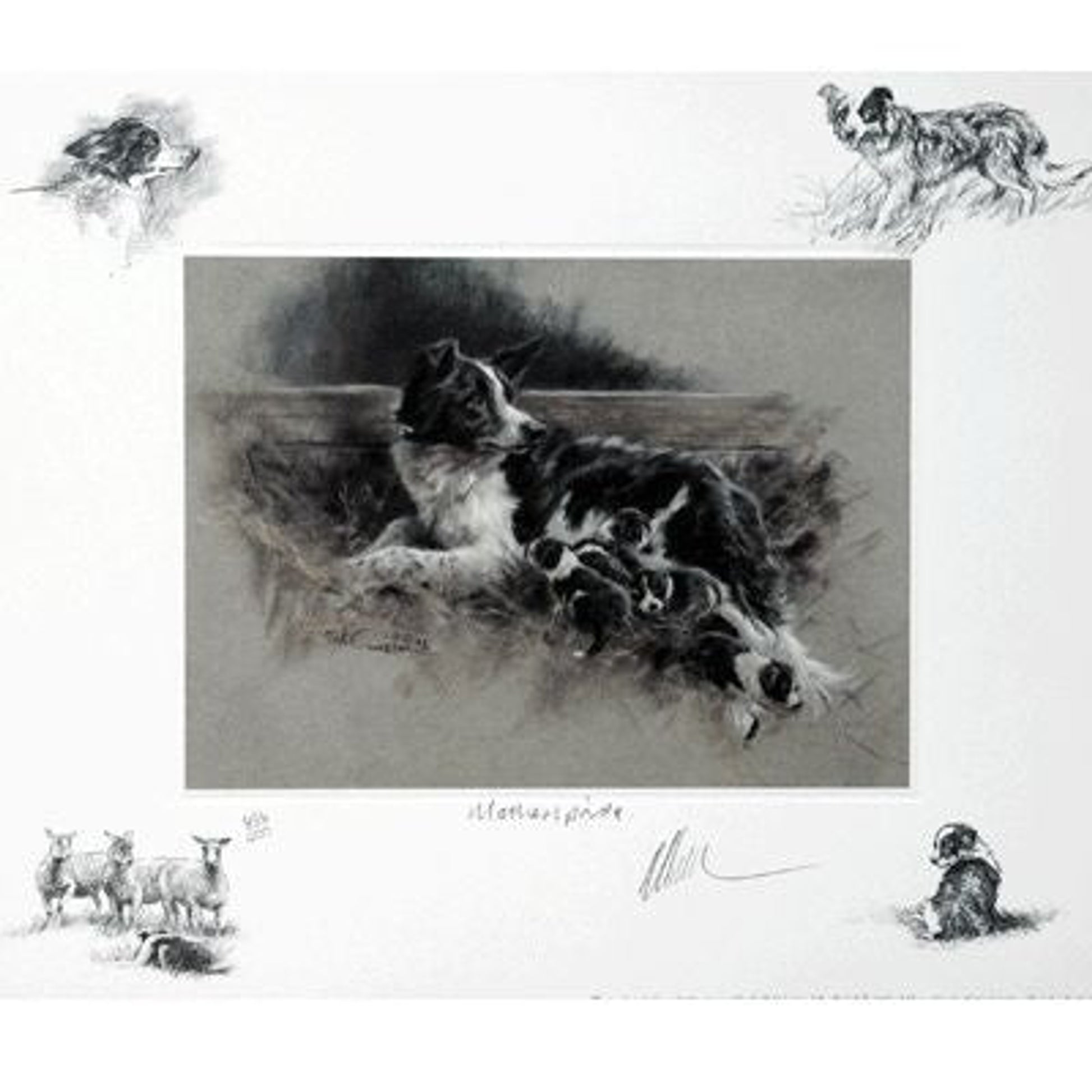 Sally Mitchell Fine Art Dog Prints Mothers Pride