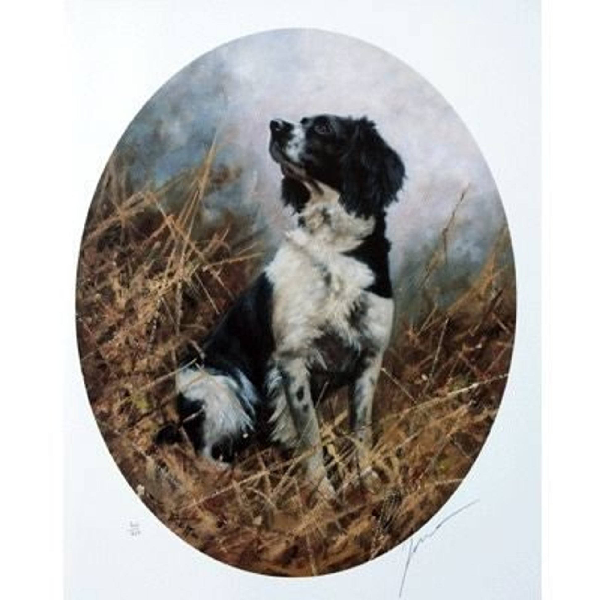 Sally Mitchell Fine Art Black/White Springer Ov