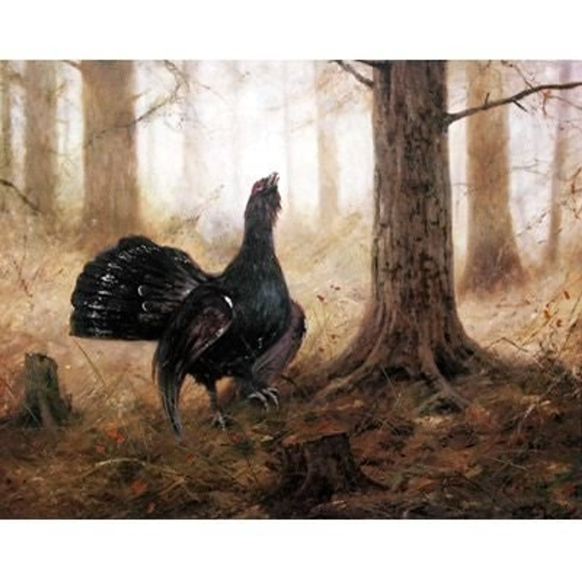 Sally Mitchell Fine Art The Telegraph Grouse