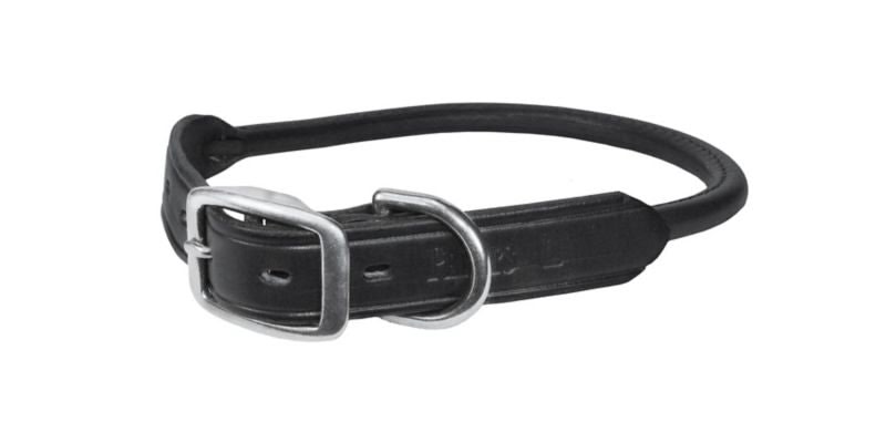 Perris Rolled Leather Dog Collar LG Black