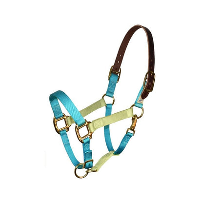 Perri's Color Vision Halter