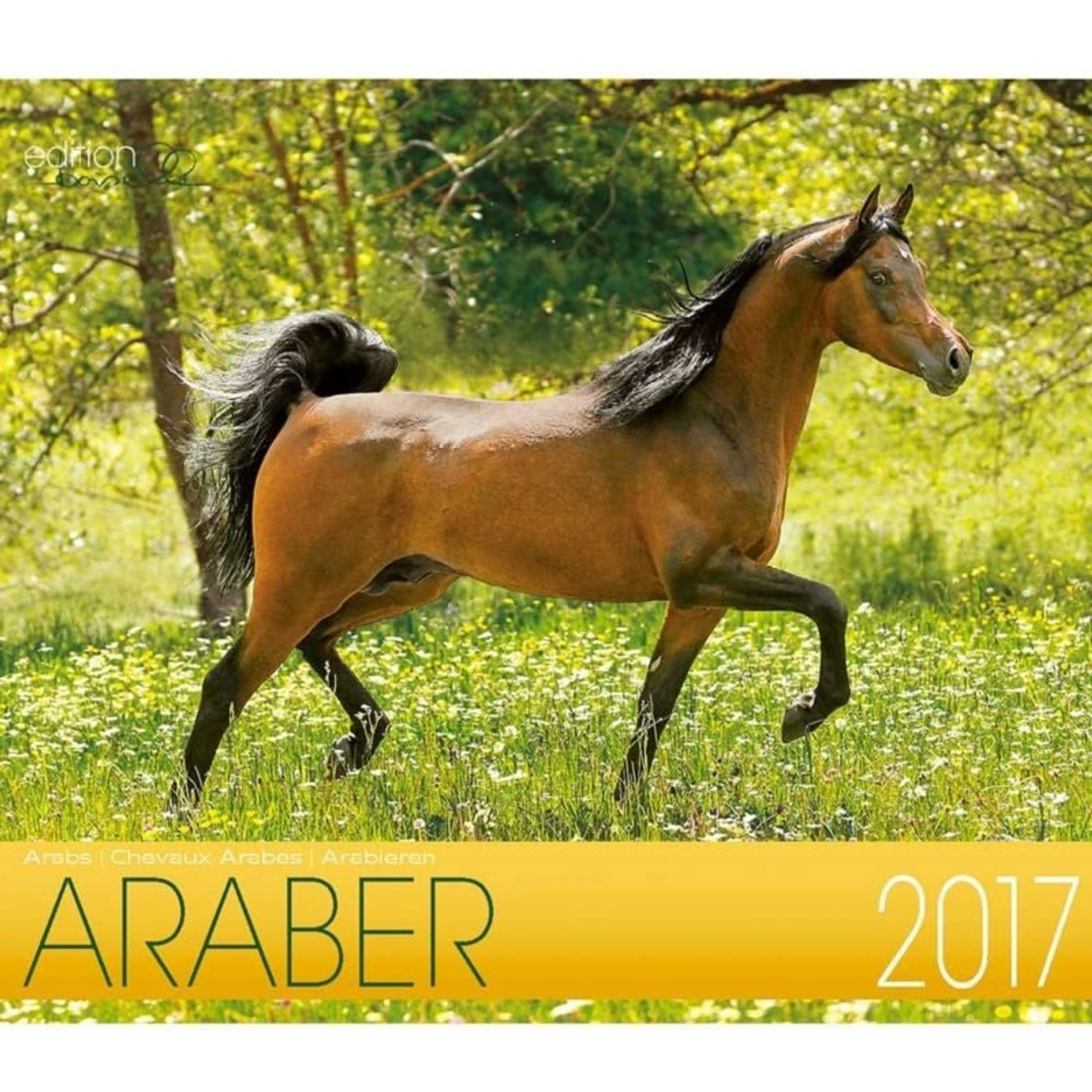 Boiselle Mid Sized Calendar Arabian - 2017
