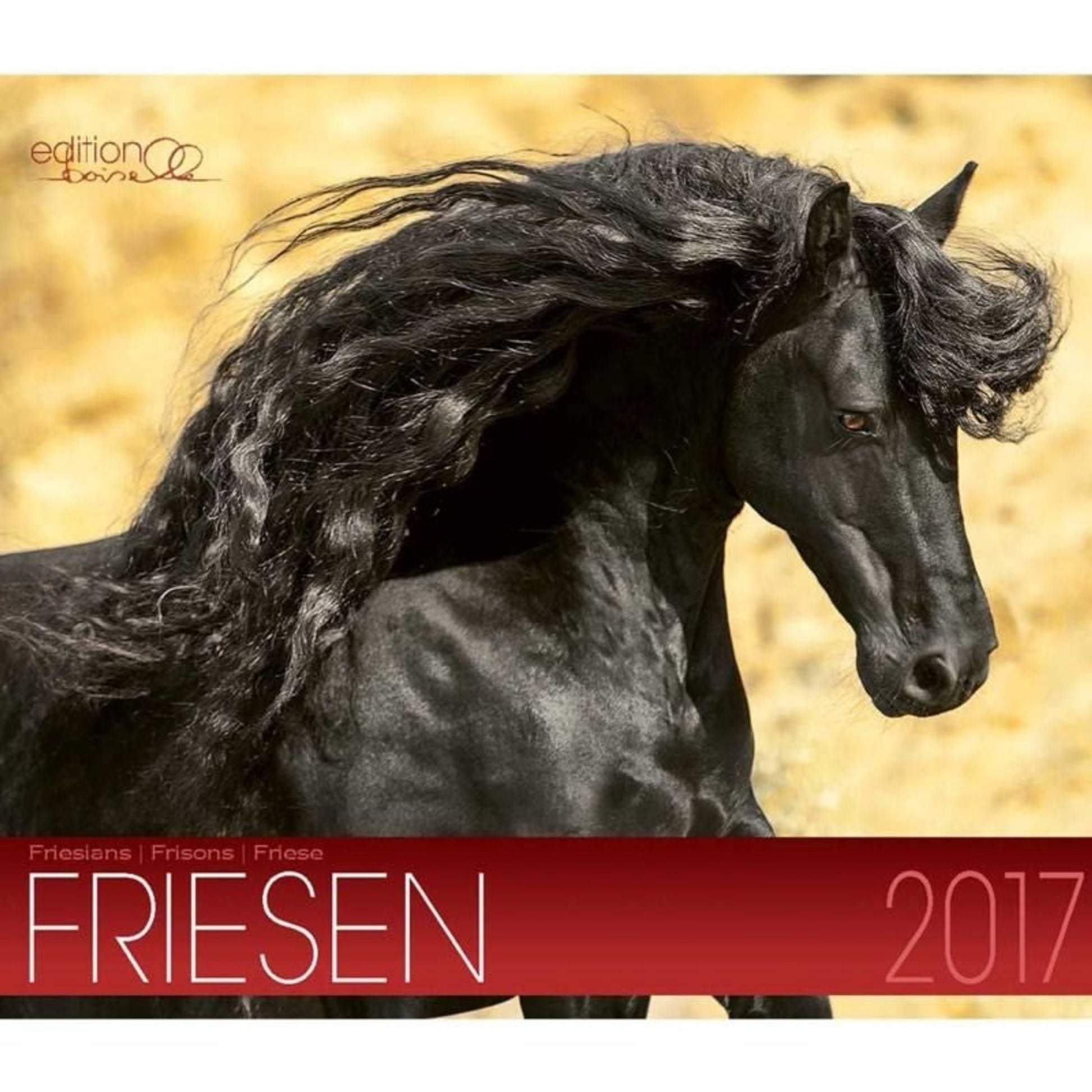 Boiselle Mid Sized Calendar Friesian - 2017