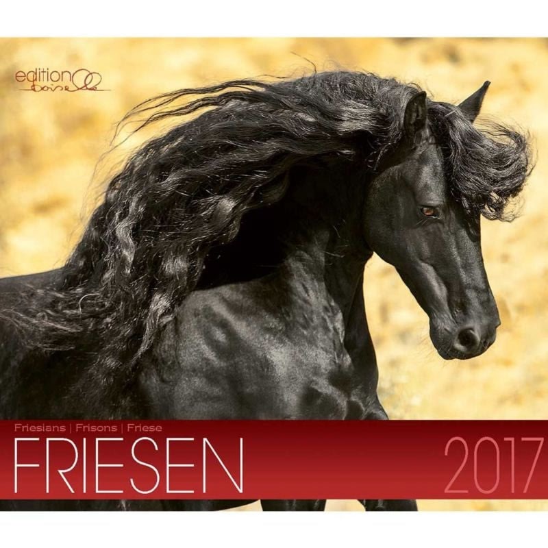 Boiselle Mid Sized Calendar Friesian - 2017