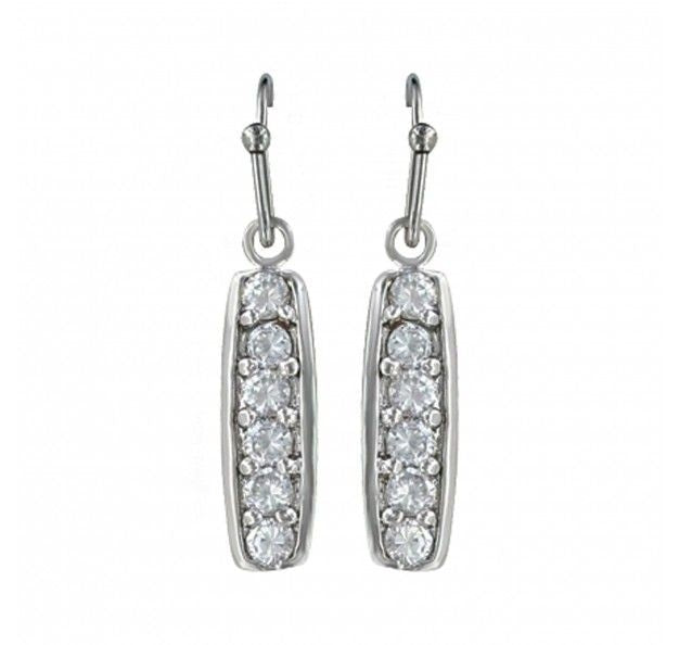 Montana Prairie Aster Channel Dangle Earrings