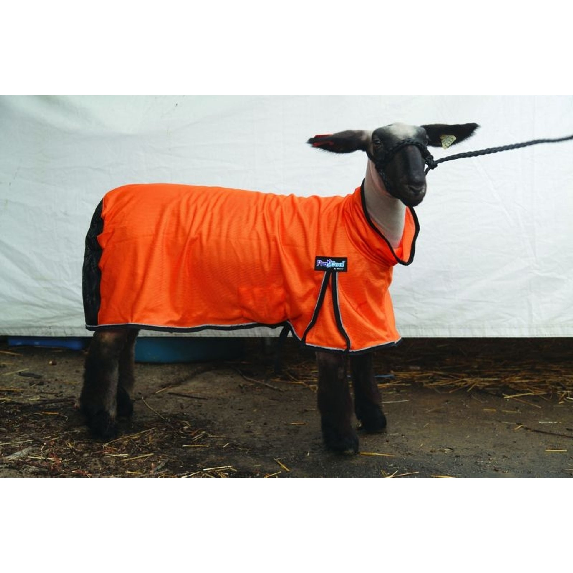 ProCool Mesh Sheep Blanket