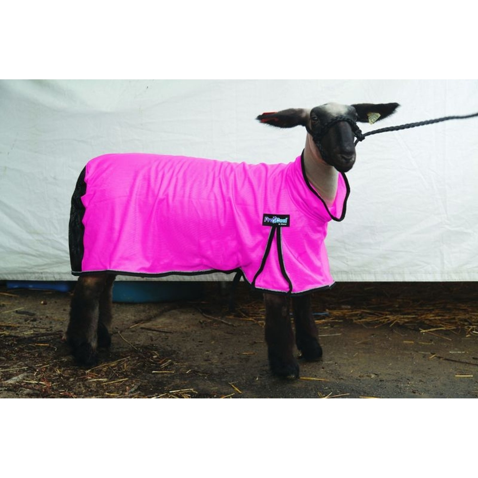 ProCool Mesh Sheep Blanket
