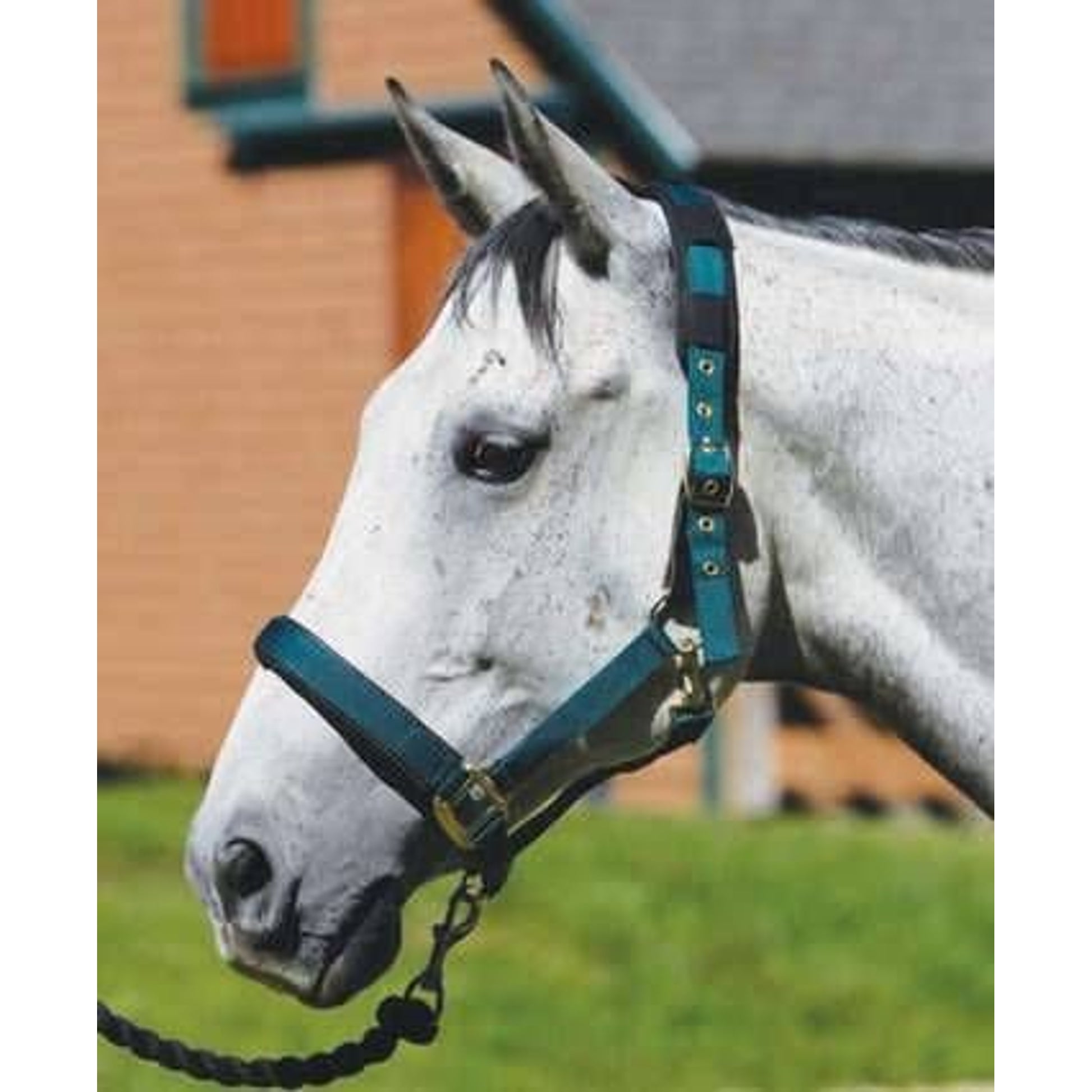 Shires Spare Leather Breakaway