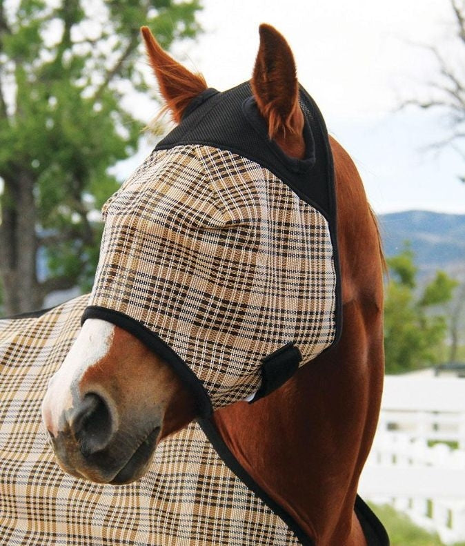 Colorado Saddle 1000D Pvc Fly Mask Without Ear