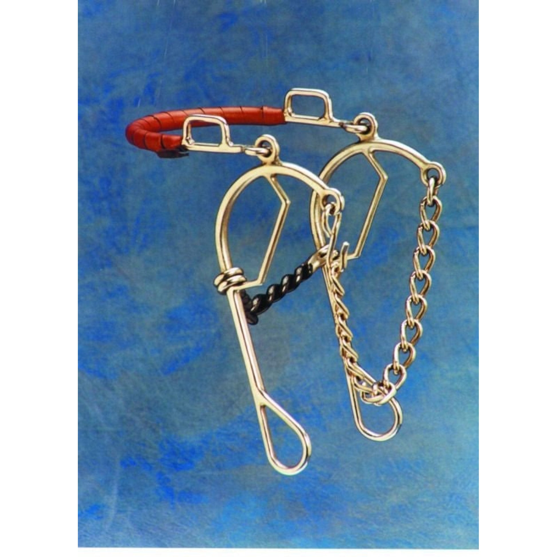 Short Shankd Gag Hackamore Combo Bit 5 Stainsteel