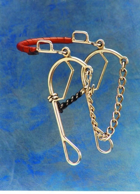 Short Shankd Gag Hackamore Combo Bit 5 Stainsteel