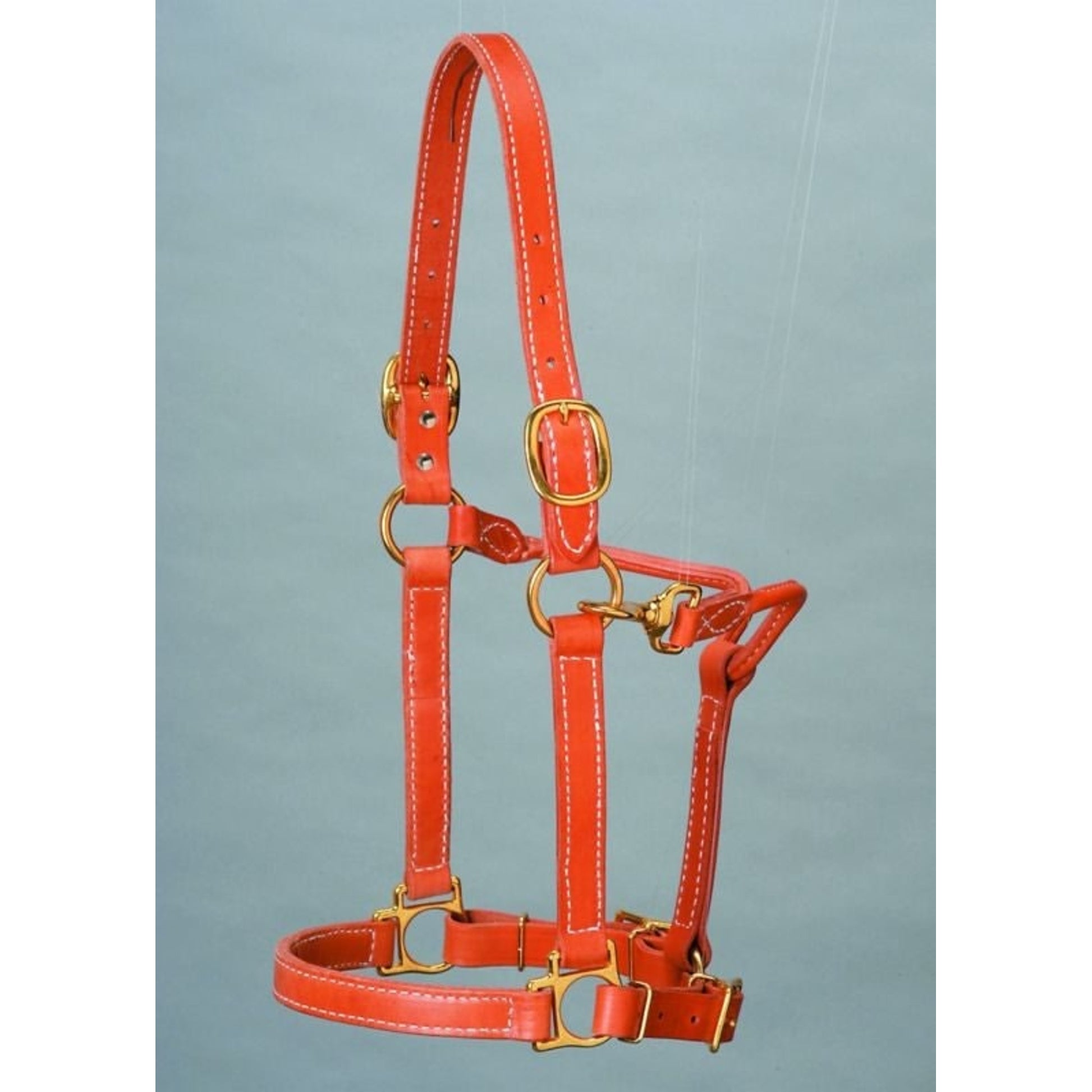 Top Of The Line Leather Track Style HalterBrn