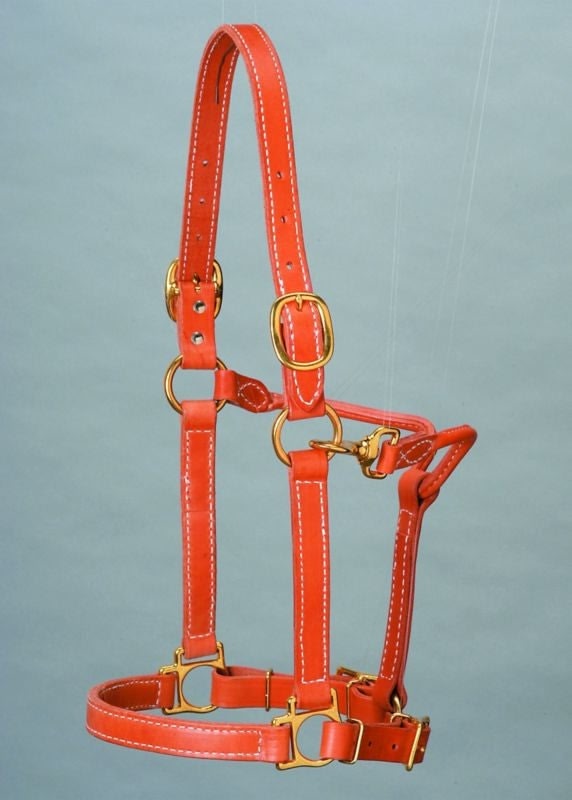 Top Of The Line Leather Track Style HalterBrn
