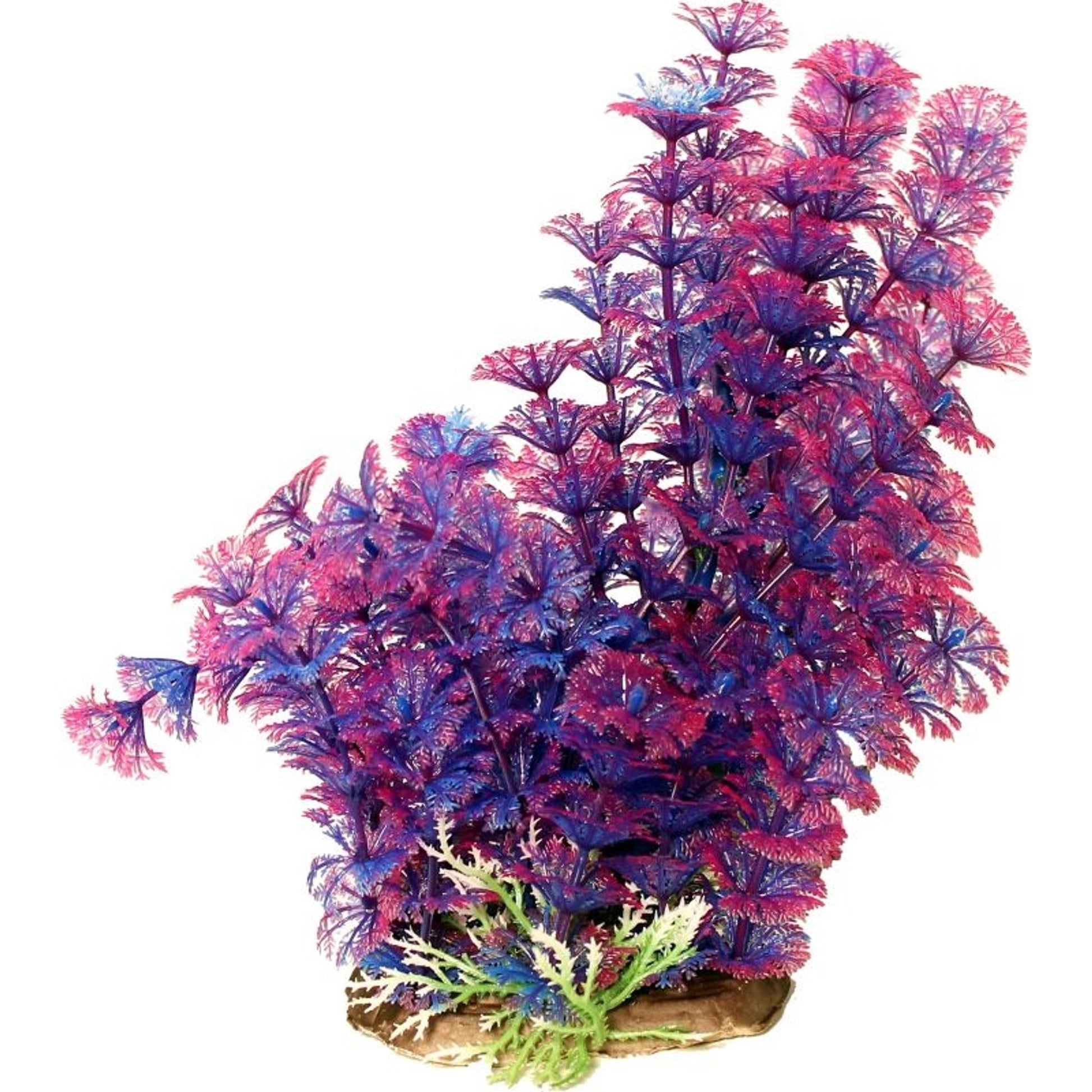 Poppy Pet Bushy Ambuila Aquarium Plant Blue