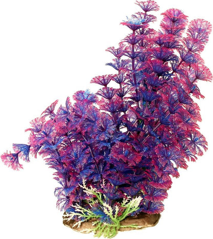 Poppy Pet Bushy Ambuila Aquarium Plant Blue