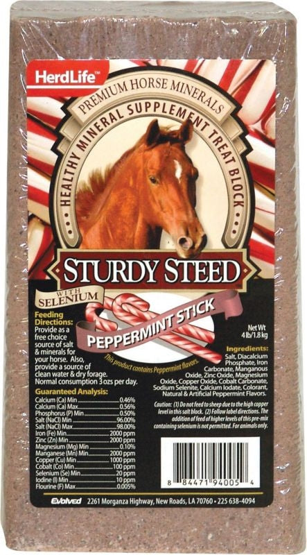 Evolve Sturdy Steed Horse Salt Block Peppermint