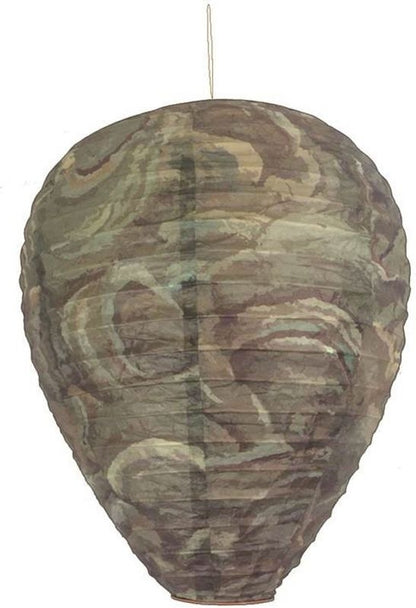 TH1437542.jpg