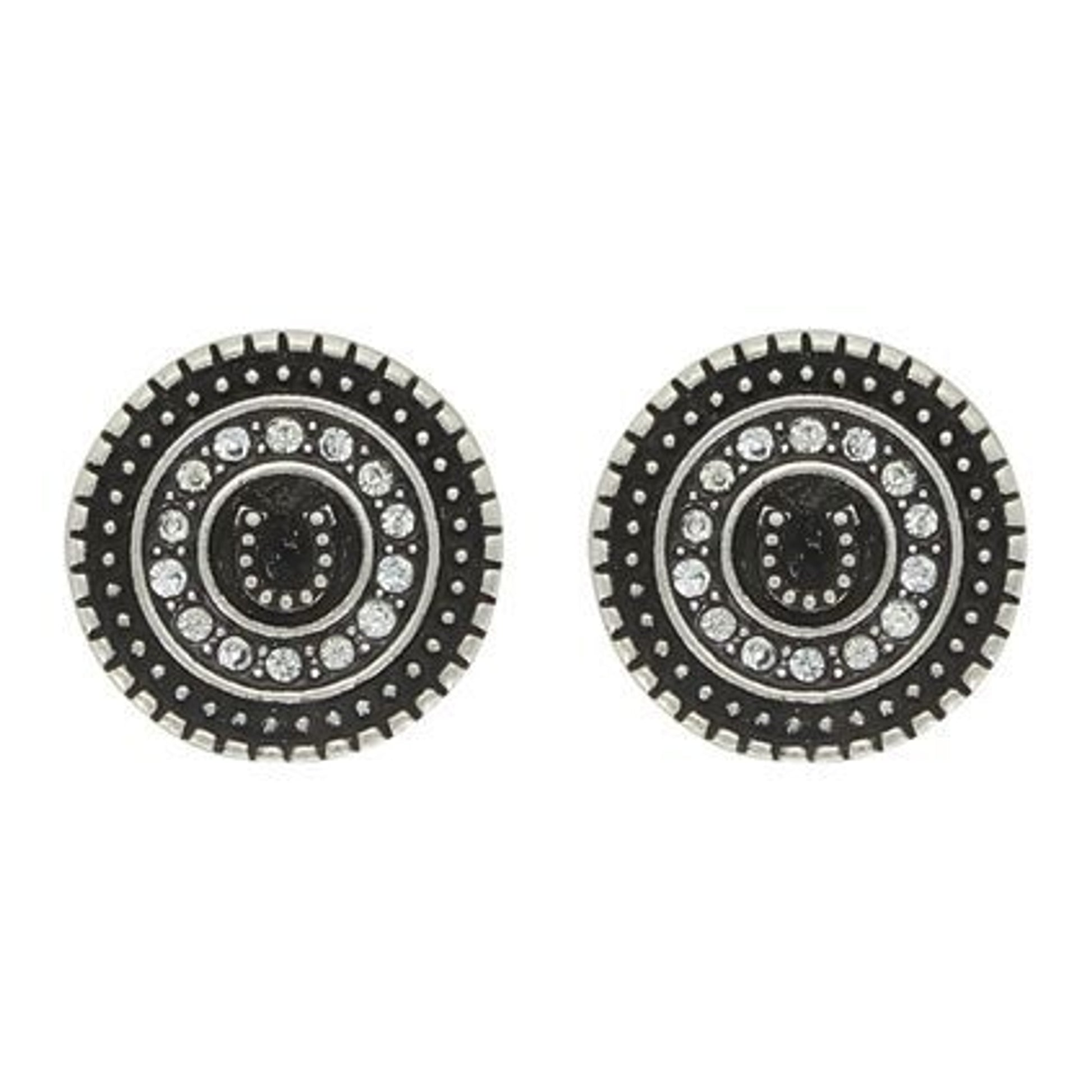 Attitude Jewelry Haloed Horseshoe Post Earrings