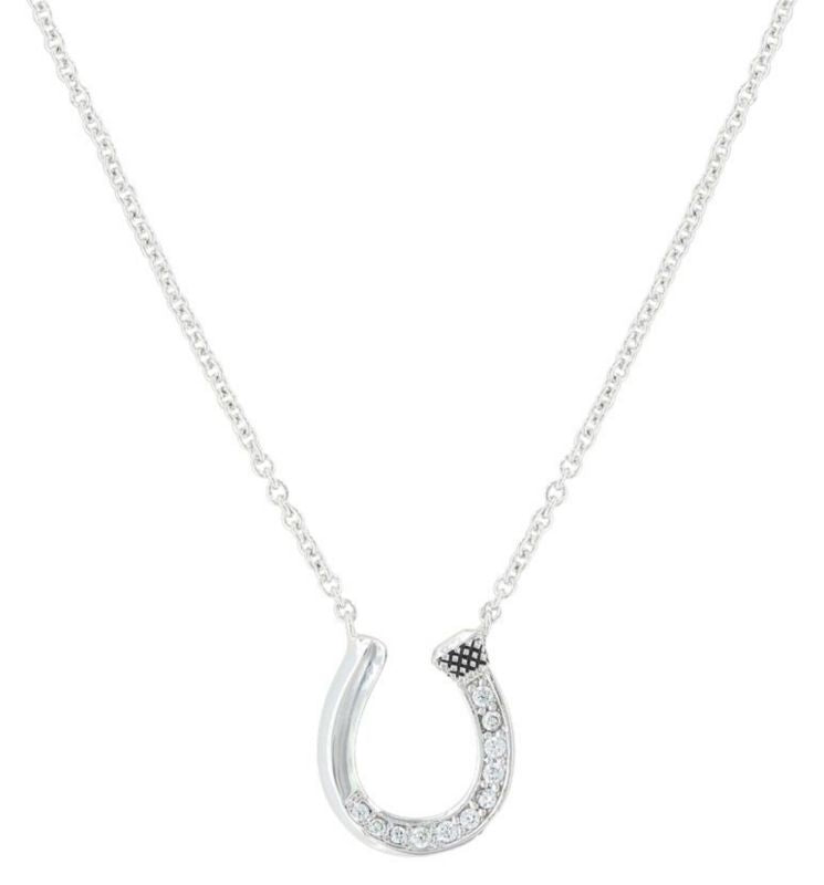 A Single Path Horseshoe Necklace