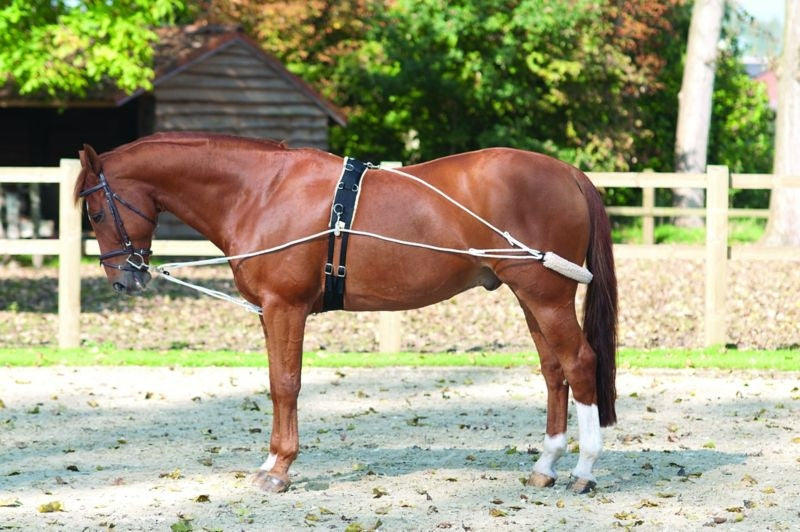 Lami-Cell Training Aid