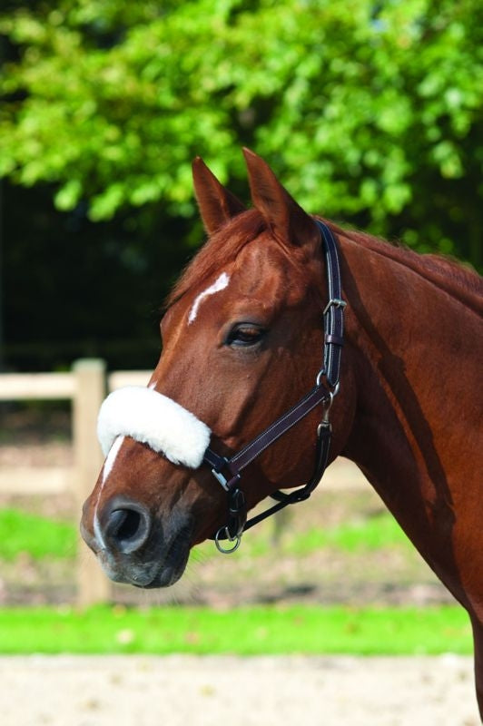 Lami-Cell Wool Noseband CoverBrn