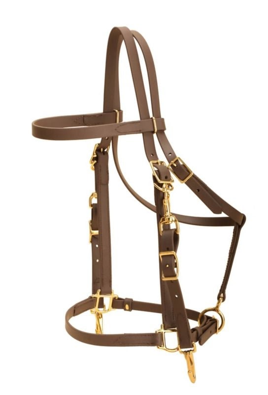 Tory All Weather Combo Bridle Horse Bk/Gry