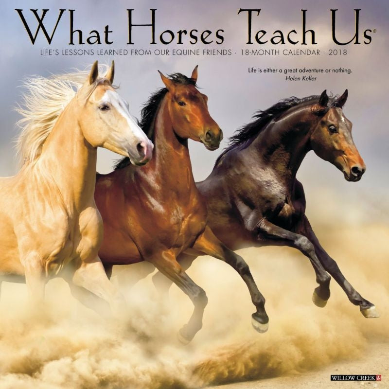 Kelley What Horses Teach Us 2018 Calendar-18 Mth