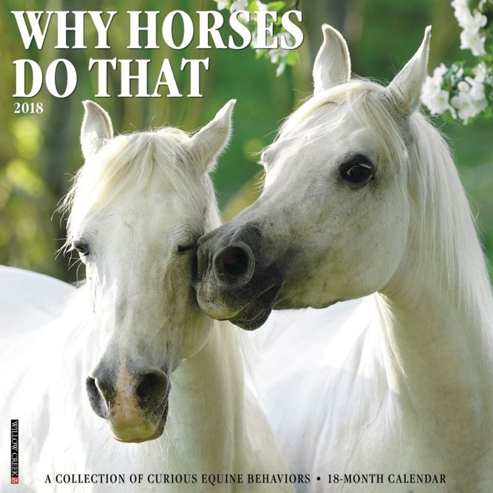 Kelley Why Horses Do That 2018 Calendar- 18 Mth
