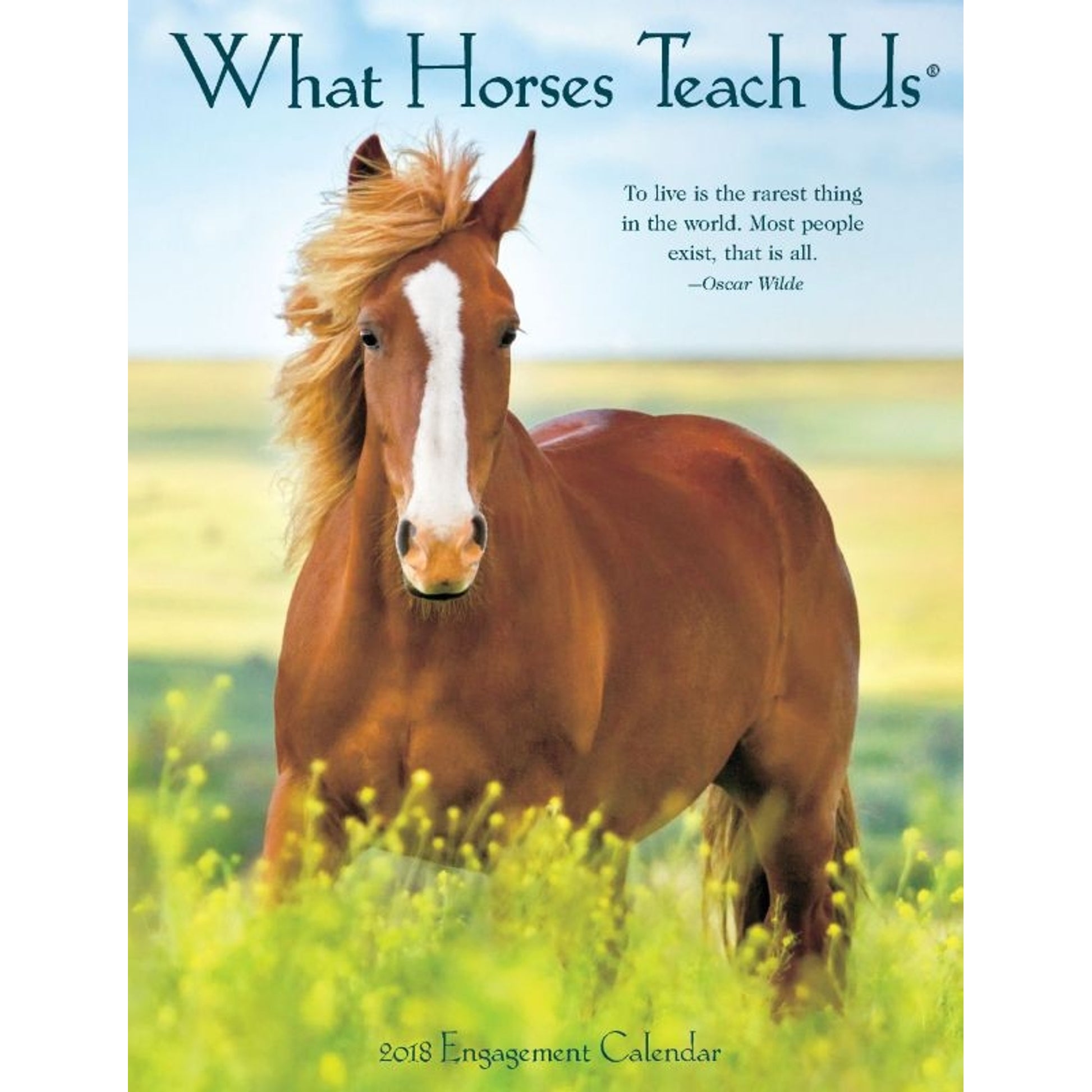 Kelley What Hrss Teach Us 2018 Calendar 18 Month