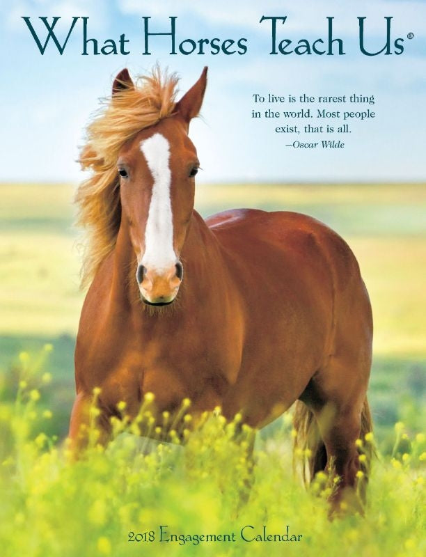 Kelley What Hrss Teach Us 2018 Calendar 18 Month