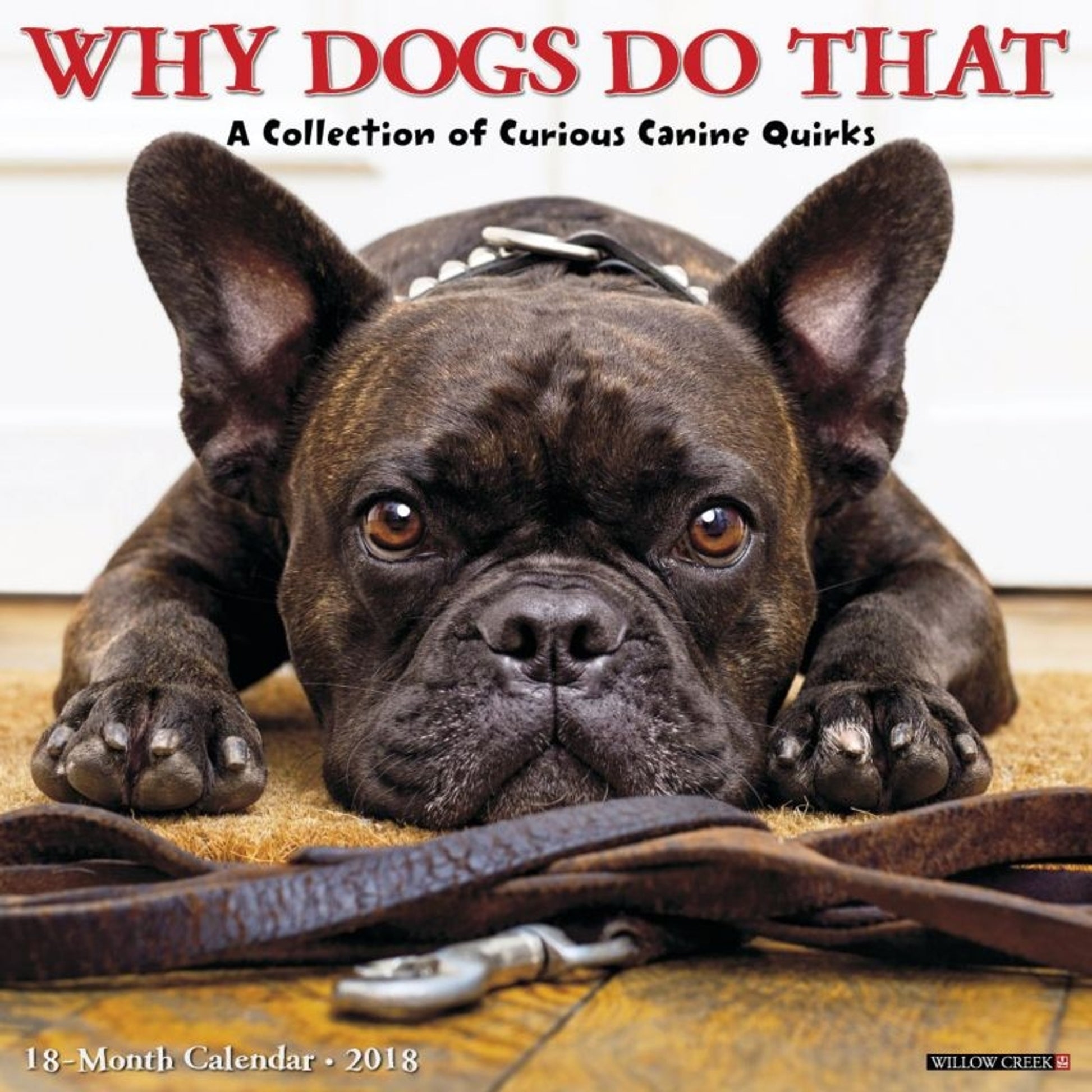 Kelley Why Dogs Do That 2018 Calendar