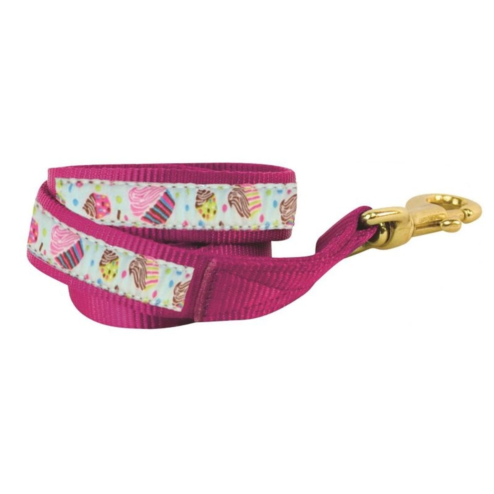 Perris Nylon Ribbon Lead With Snap 6ft Br
