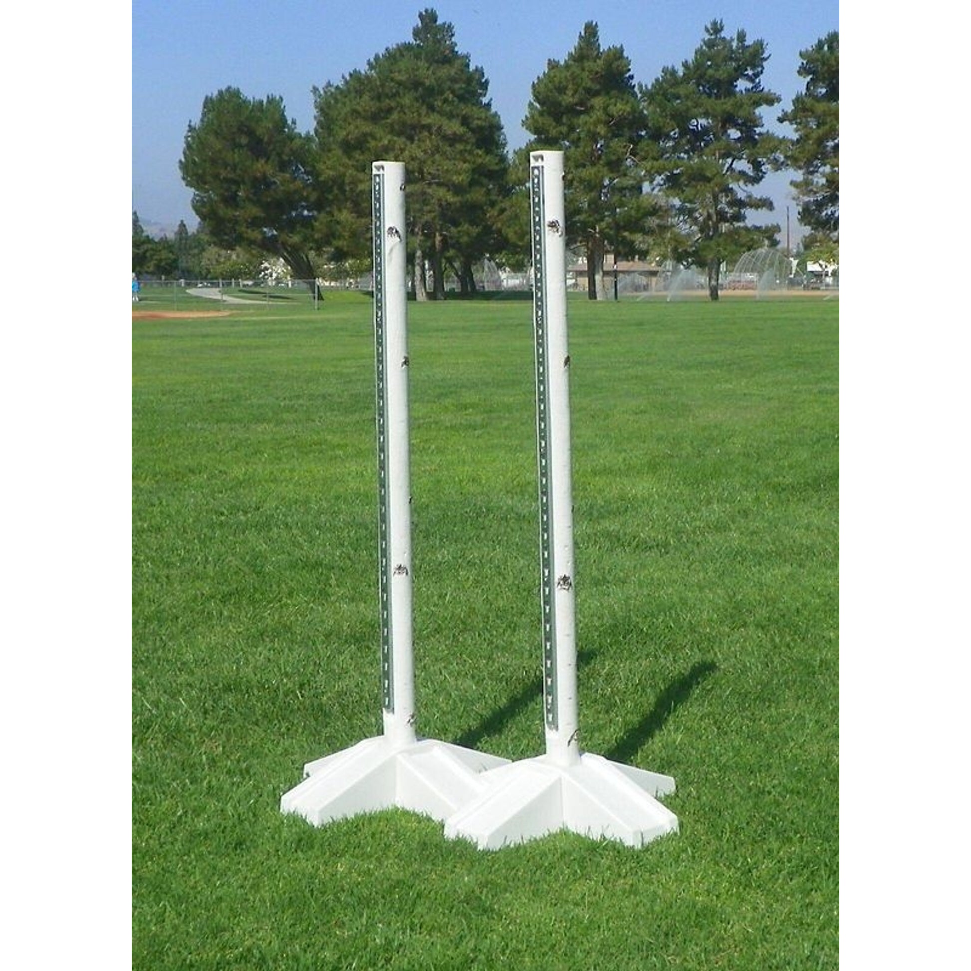 Burlingham Sports Birch Post Standard/Track-Pair
