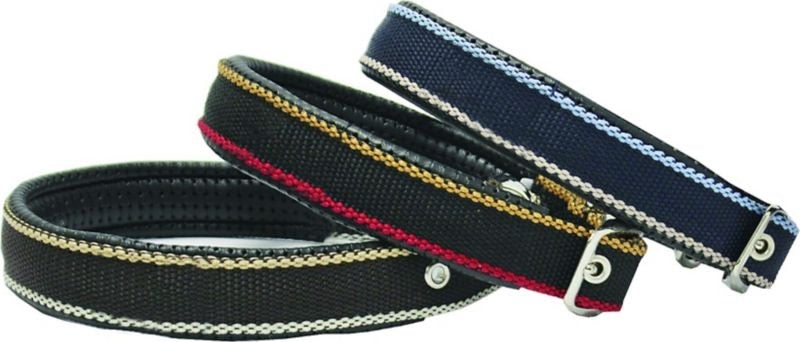 Rambo Dog Collar LG Witney/Gold