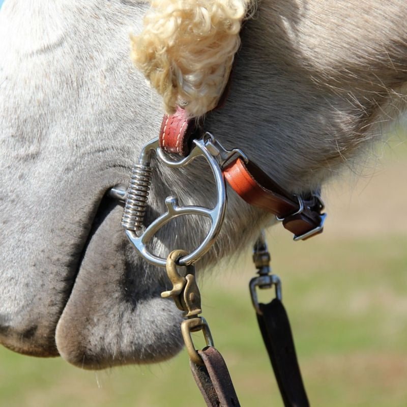 Toklat Curb Hooks For Cheeks With Hooks Pair Brn