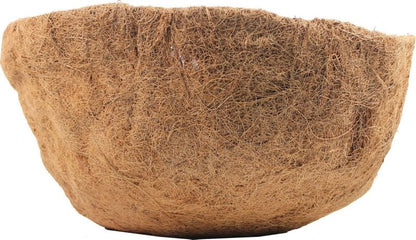 TH1485052.jpg