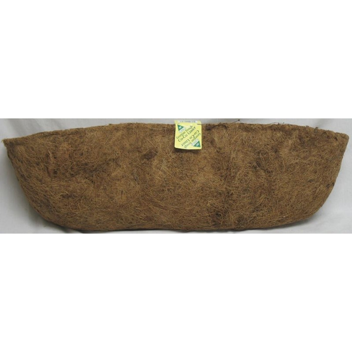 TH1485093.jpg