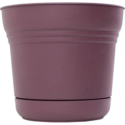 Saturn Planter 12in Passion Fruit