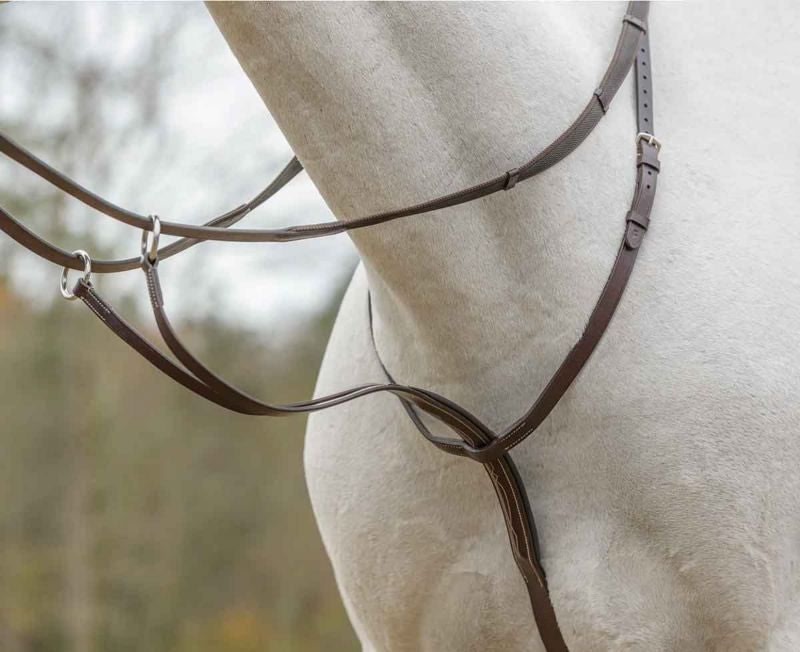 Shires Avignon Running Martingale