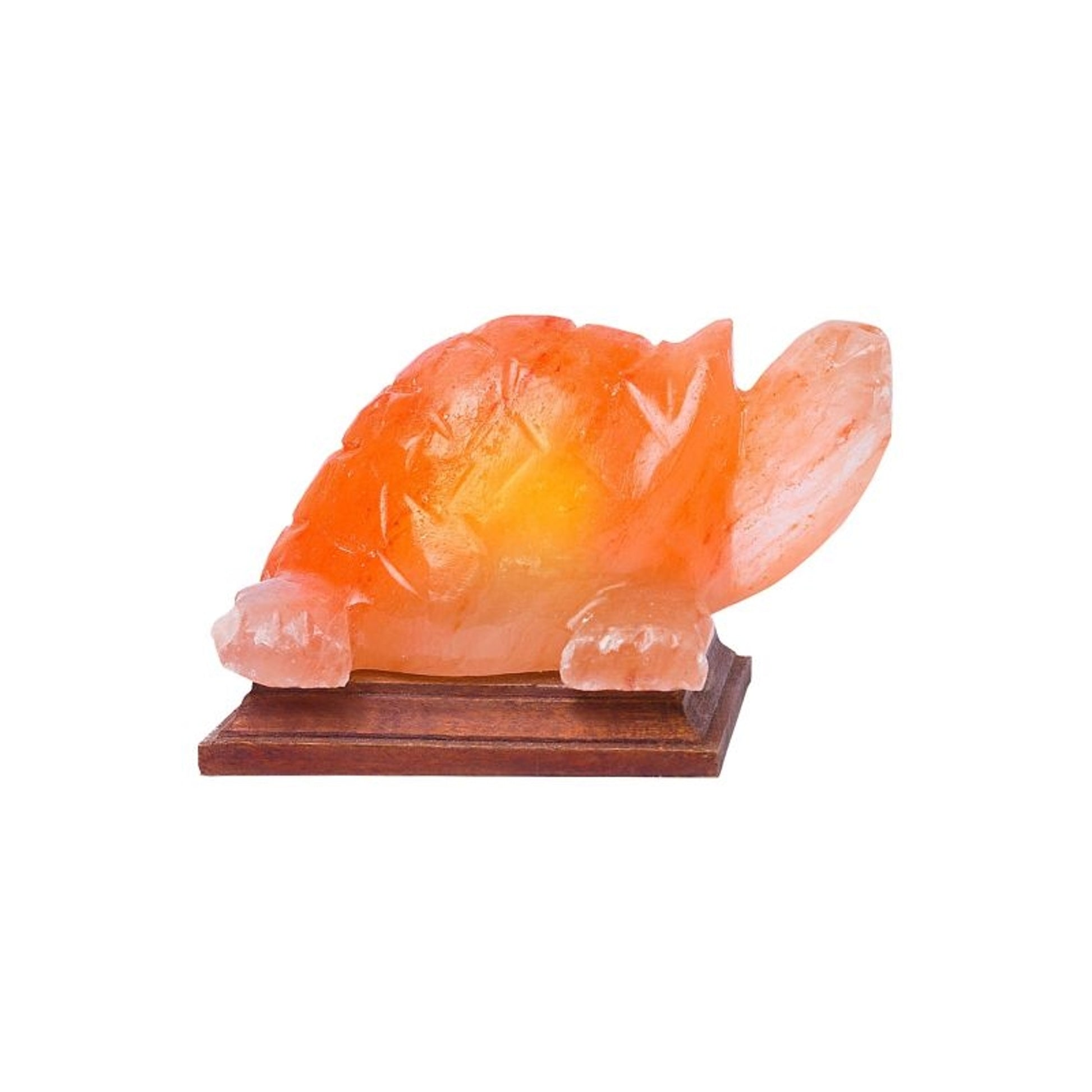 Himalayan Rock Salt Turtle Lamp 7lbs Bk/Wh